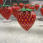 Strawberry Sculpture