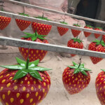 Strawberry Sculpture